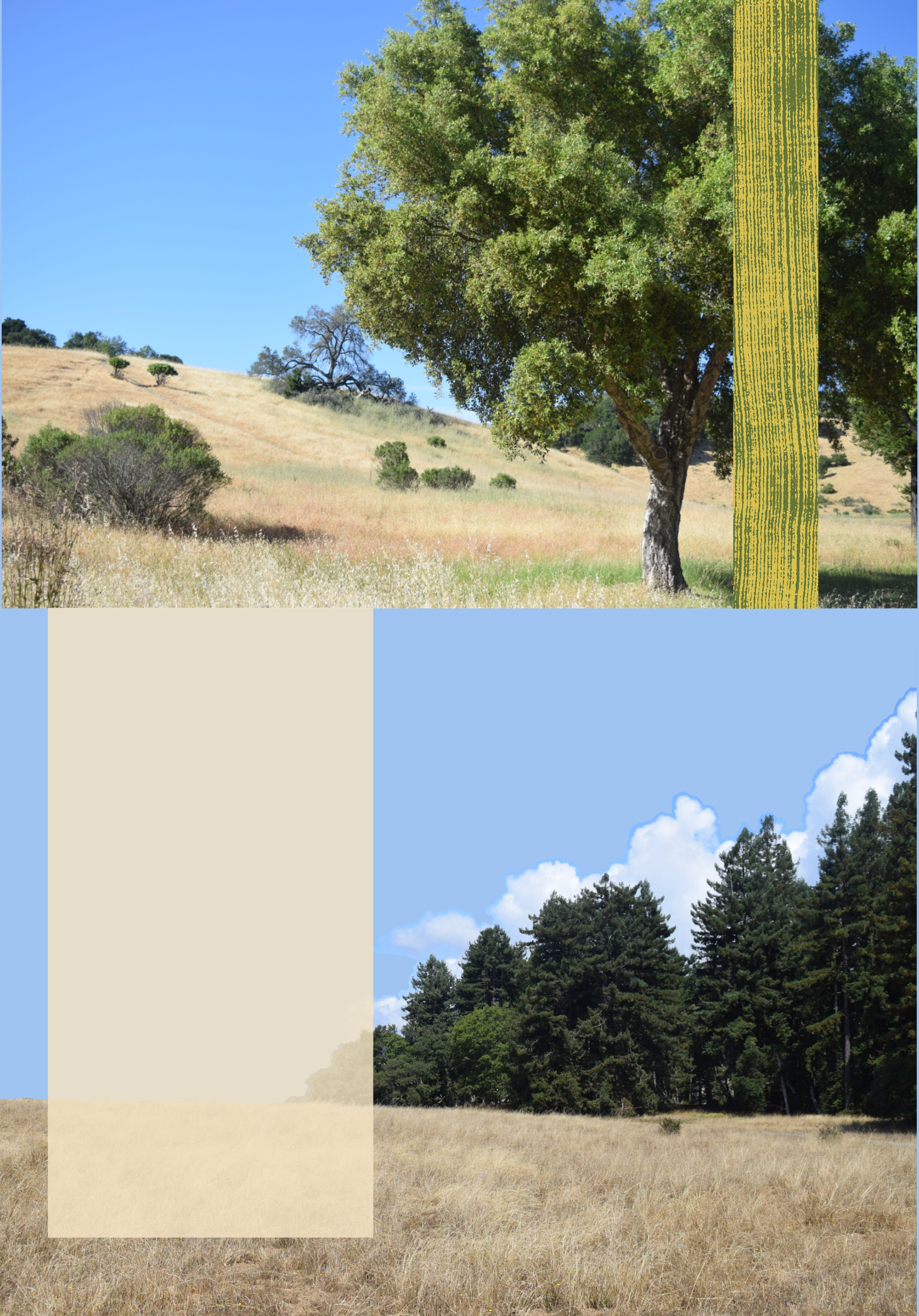 About background